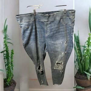 Lane bryant jeggings